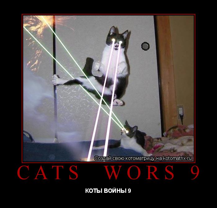 CATS WORS 9 КОТЫ ВОЙНЫ 9... Котоматрица: CATS WORS 9 КОТЫ ВОЙНЫ 9