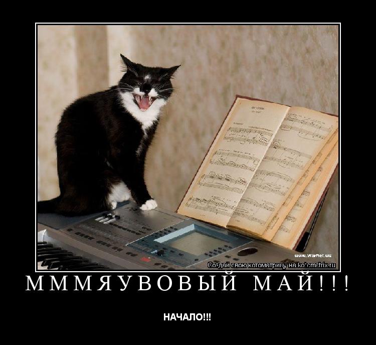 МММЯУВОВЫЙ МАЙ!!! НАЧАЛО!!!... Котоматрица: МММЯУВОВЫЙ МАЙ!!! НАЧАЛО!!!