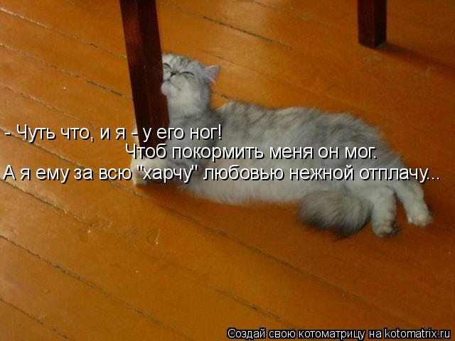 - Чуть что, и я - у его ног! Чтоб покормить меня он мог. А я ему за всю "харчу" любовью нежной отплач... Котоматрица: - Чуть что, и я - у его ног! Чтоб покормить меня он мог. А я ему за всю "харчу" любовью нежной отплачу...