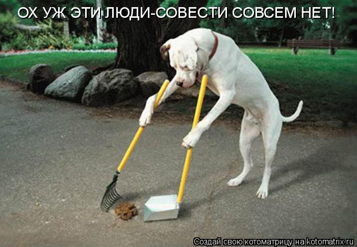 ОХ УЖ ЭТИ ЛЮДИ-СОВЕСТИ СОВСЕМ НЕТ!... Котоматрица: ОХ УЖ ЭТИ ЛЮДИ-СОВЕСТИ СОВСЕМ НЕТ!