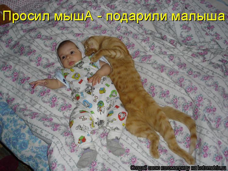 Просил мышА - подарили малыша... Котоматрица: Просил мышА - подарили малыша