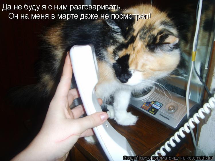 Да не буду я с ним разговаривать... Он на меня в марте даже не посмотрел!... Котоматрица: Да не буду я с ним разговаривать... Он на меня в марте даже не посмотрел!