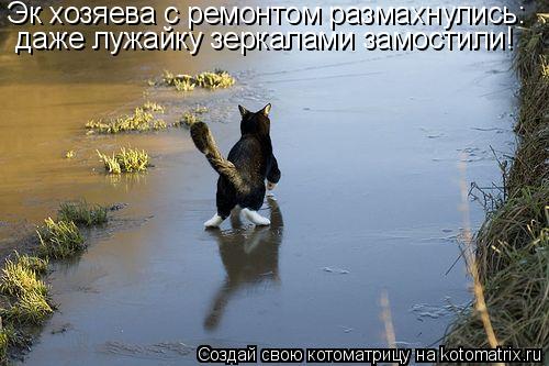 Эк хозяева с ремонтом размахнулись: даже лужайку зеркалами замостили!... Котоматрица: Эк хозяева с ремонтом размахнулись: даже лужайку зеркалами замостили!