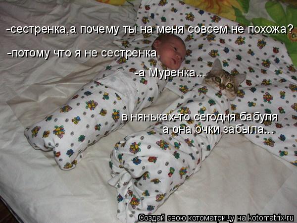 -сестренка,а почему ты на меня совсем не похожа? -потому что я не сестренка, -а Муренка... в няньках-... Котоматрица: -сестренка,а почему ты на меня совсем не похожа? -потому что я не сестренка, -а Муренка... в няньках-то сегодня бабуля а она очки забыла...