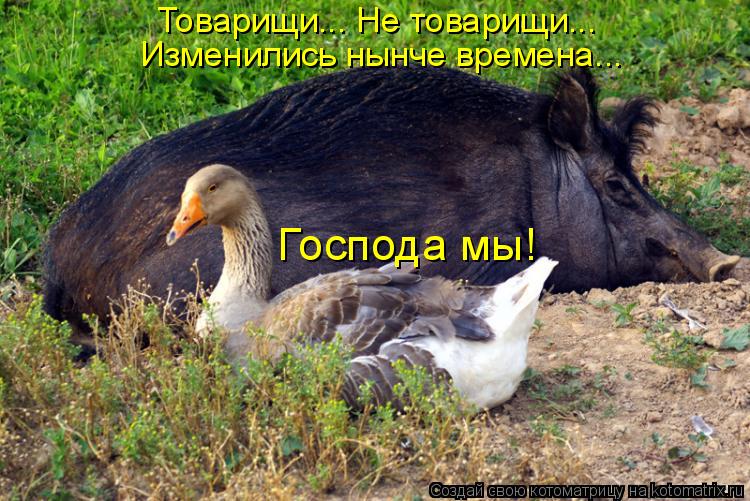 Товарищи... Не товарищи... Изменились нынче времена... Господа мы!... Котоматрица: Товарищи... Не товарищи... Изменились нынче времена... Господа мы!