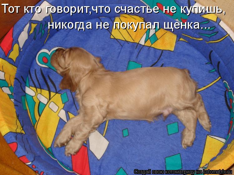 Тот кто говорит,что счастье не купишь, никогда не покупал щенка...... Котоматрица: Тот кто говорит,что счастье не купишь, никогда не покупал щенка...