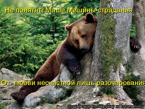 Не понятны Маше Мишины страдания От любви несчастной лишь разочарования... Котоматрица: Не понятны Маше Мишины страдания От любви несчастной лишь разочарования