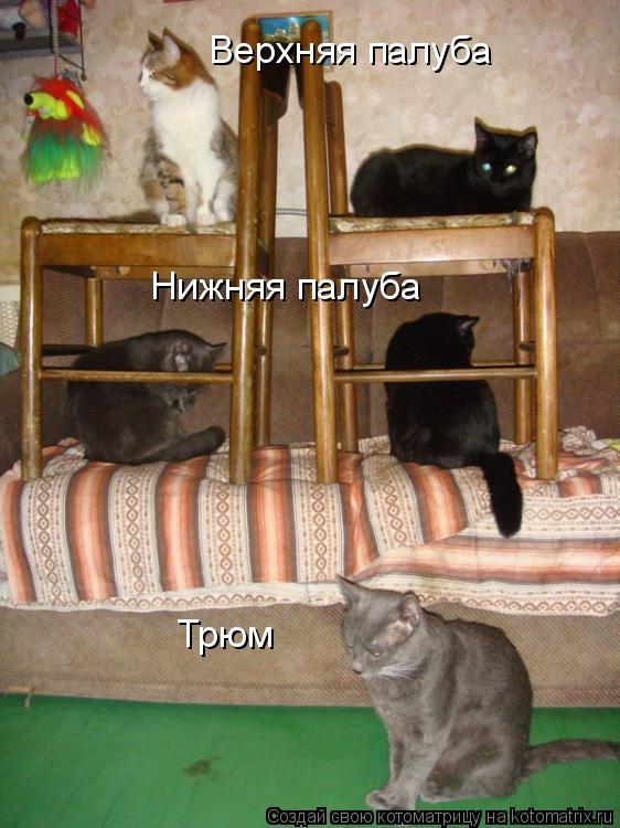 Верхняя палуба Нижняя палуба Трюм... Котоматрица: Верхняя палуба Нижняя палуба Трюм