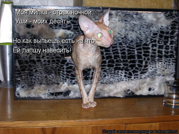Моя милка - страх ночной, Уши - моих десять Но как выпьешь,есть на что Ей лапшу навесить!... Котоматрица: Моя милка - страх ночной, Уши - моих десять Но как выпьешь,есть на что Ей лапшу навесить!