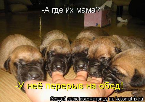 -А где их мама? -У неё перерыв на обед!... Котоматрица: -А где их мама? -У неё перерыв на обед!