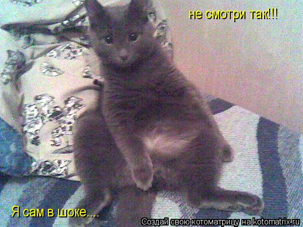 не смотри так!!! Я сам в шоке....... Котоматрица: не смотри так!!! Я сам в шоке....