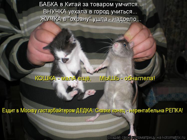БАБКА в Китай за товаром умчится... ВНУЧКА уехала в город учиться... ЖУЧКА в "охрану" ушла - надоело.... Котоматрица: БАБКА в Китай за товаром умчится... ВНУЧКА уехала в город учиться... ЖУЧКА в "охрану" ушла - надоело... КОШКА - малА ещё, МЫШЬ - обнаглела! Ездит