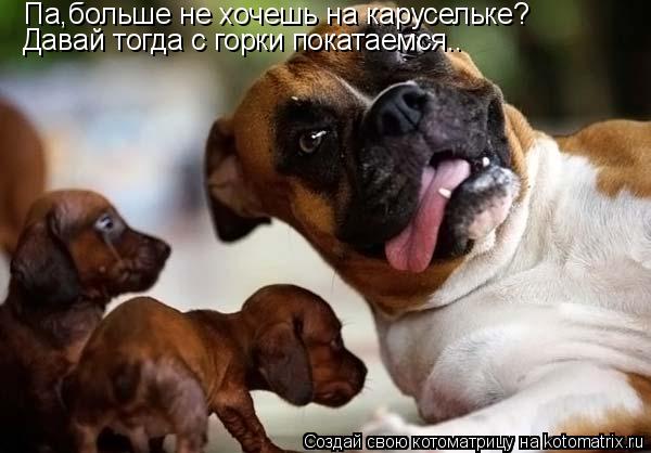 Па,больше не хочешь на карусельке? Давай тогда с горки покатаемся..... Котоматрица: Па,больше не хочешь на карусельке? Давай тогда с горки покатаемся..