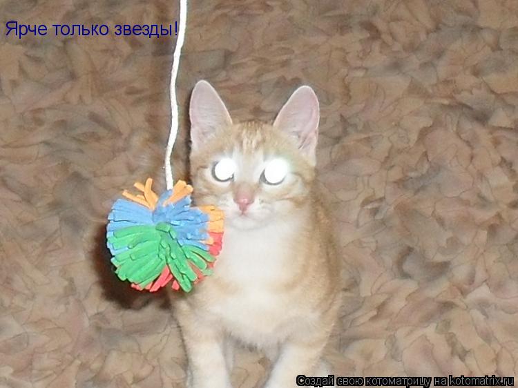 Ярче только звезды!... Котоматрица: Ярче только звезды!