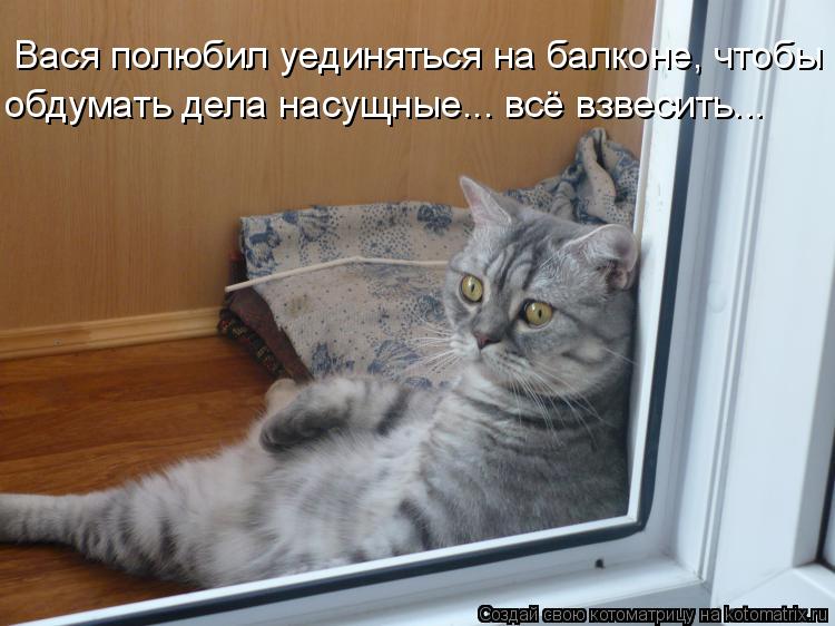 Вася полюбил уединяться на балконе, чтобы обдумать дела насущные... всё взвесить...... Котоматрица: Вася полюбил уединяться на балконе, чтобы обдумать дела насущные... всё взвесить...