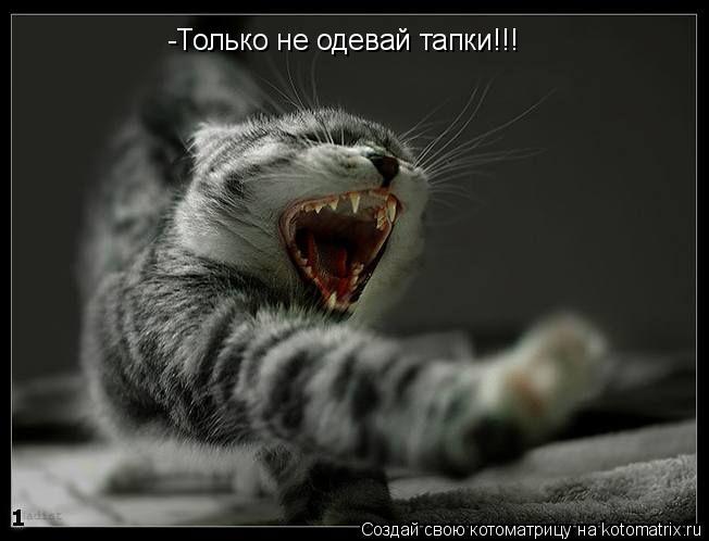 -Только не одевай тапки!!!... Котоматрица: -Только не одевай тапки!!!