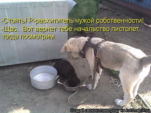 -Стоять! Р-расхититель чужой собственности! -Щас.. Вот вернет тебе начальство пистолет, тогда посмот... Котоматрица: -Стоять! Р-расхититель чужой собственности! -Щас.. Вот вернет тебе начальство пистолет, тогда посмотрим.