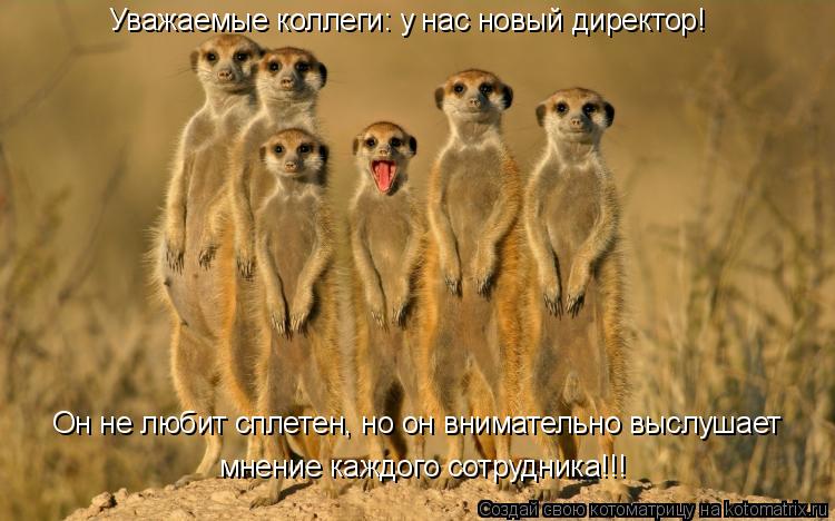 Уважаемые коллеги: у нас новый директор! мнение каждого сотрудника!!! Он не любит сплетен, но он вним... Котоматрица: Уважаемые коллеги: у нас новый директор! мнение каждого сотрудника!!! Он не любит сплетен, но он внимательно выслушает