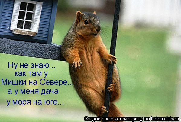 как там у Мишки на Севере... а у меня дача у моря на юге... Ну не знаю...... Котоматрица: как там у Мишки на Севере... а у меня дача у моря на юге... Ну не знаю...