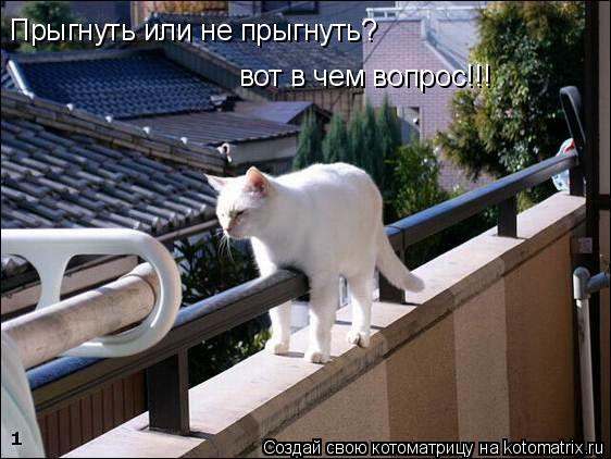 Прыгнуть или не прыгнуть? вот в чем вопрос!!!... Котоматрица: Прыгнуть или не прыгнуть? вот в чем вопрос!!!