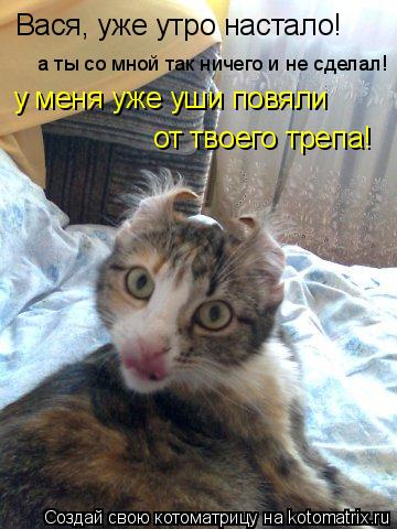Вася, уже утро настало! а ты со мной так ничего и не сделал! у меня уже уши повяли от твоего трепа!... Котоматрица: Вася, уже утро настало! а ты со мной так ничего и не сделал! у меня уже уши повяли от твоего трепа!