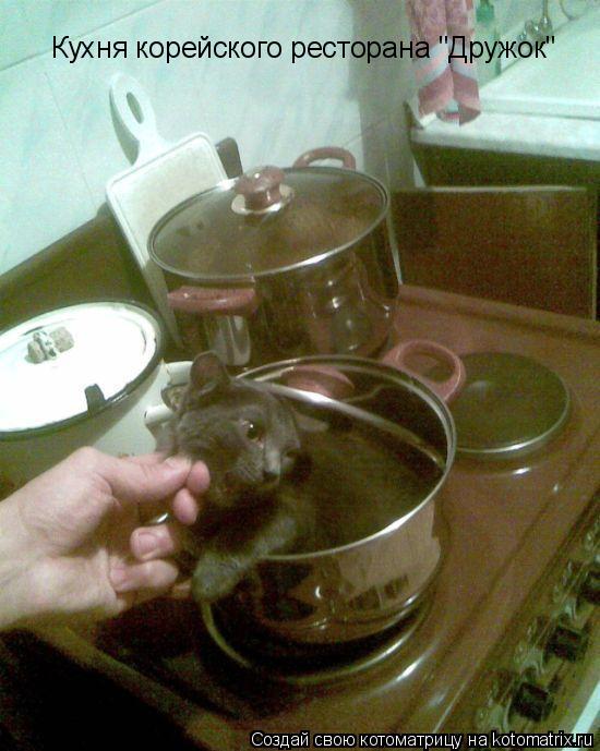 Кухня корейского ресторана "Дружок"... Котоматрица: Кухня корейского ресторана "Дружок"