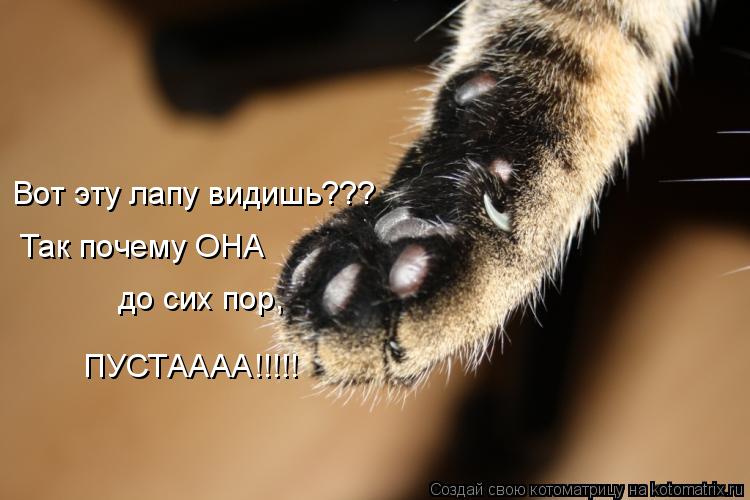 Вот эту лапу видишь??? Так почему ОНА до сих пор, ПУСТАААА!!!!!... Котоматрица: Вот эту лапу видишь??? Так почему ОНА до сих пор, ПУСТАААА!!!!!