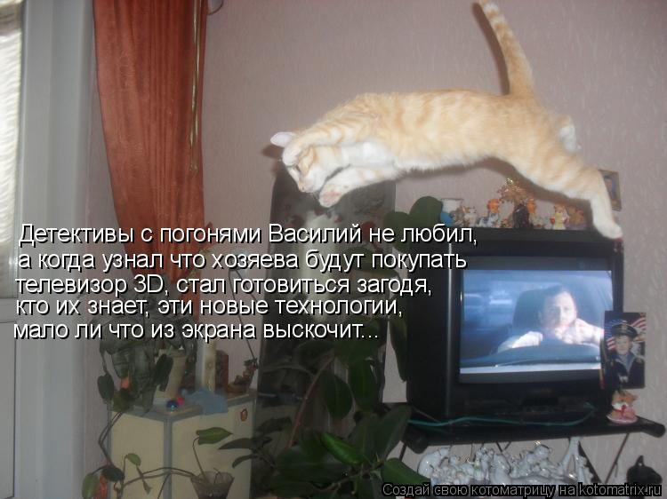 Детективы с погонями Василий не любил, а когда узнал что хозяева будут покупать телевизор 3D, стал го... Котоматрица: Детективы с погонями Василий не любил, а когда узнал что хозяева будут покупать телевизор 3D, стал готовиться загодя, мало ли что из экрана в