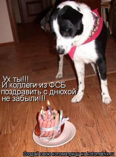 Ух ты!!! И коллеги из ФСБ поздравить с днюхой не забыли!!!... Котоматрица: Ух ты!!! И коллеги из ФСБ поздравить с днюхой не забыли!!!