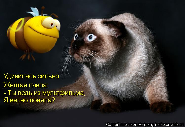 Удивилась сильно Желтая пчела: - Ты ведь из мультфильма, Я верно поняла?... Котоматрица: Удивилась сильно Желтая пчела: - Ты ведь из мультфильма, Я верно поняла?