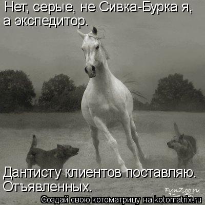 Нет, серые, не Сивка-Бурка я, а экспедитор. Дантисту клиентов поставляю. Отъявленных.... Котоматрица: Нет, серые, не Сивка-Бурка я, а экспедитор. Дантисту клиентов поставляю. Отъявленных.