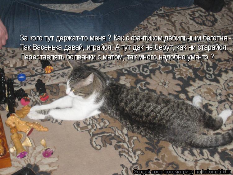 За кого тут держат-то меня ? Как с фантиком дебильным беготня - Так Васенька давай, играйся! А тут да... Котоматрица: За кого тут держат-то меня ? Как с фантиком дебильным беготня - Так Васенька давай, играйся! А тут дак не берут, как ни старайся... Переставлять