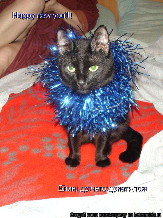 Happy new you!!! Блин, до чего докатился Happy new you!!! Блин, до чего докатился... Котоматрица: Happy new you!!! Блин, до чего докатился Happy new you!!! Блин, до чего докатился