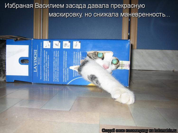 Котоматрица: Избраная Василием засада давала прекрасную  маскировку, но снижала маневренность...