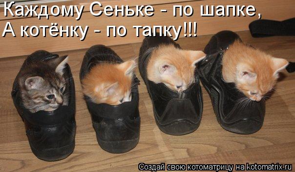 Котоматрица: А котёнку - по тапку!!! Каждому Сеньке - по шапке,