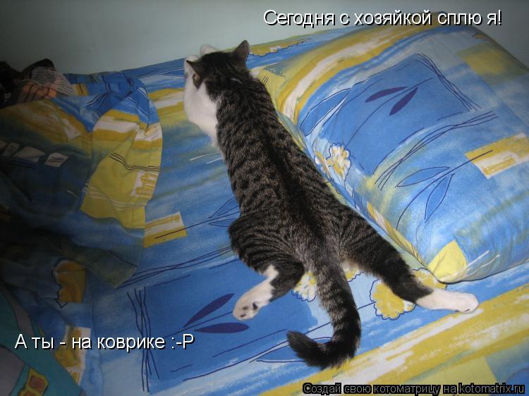 Сегодня с хозяйкой сплю я! А ты - на коврике :-P... Котоматрица: Сегодня с хозяйкой сплю я! А ты - на коврике :-P