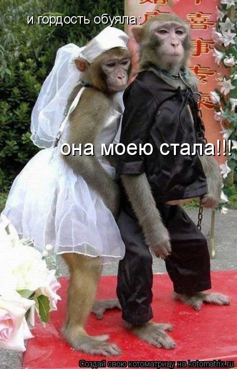 и гордость обуяла : она моею стала!!!... Котоматрица: и гордость обуяла : она моею стала!!!