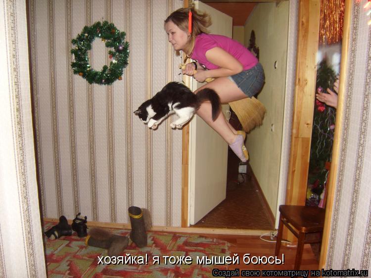 Котоматрица: хозяйка! я тоже мышей боюсь!