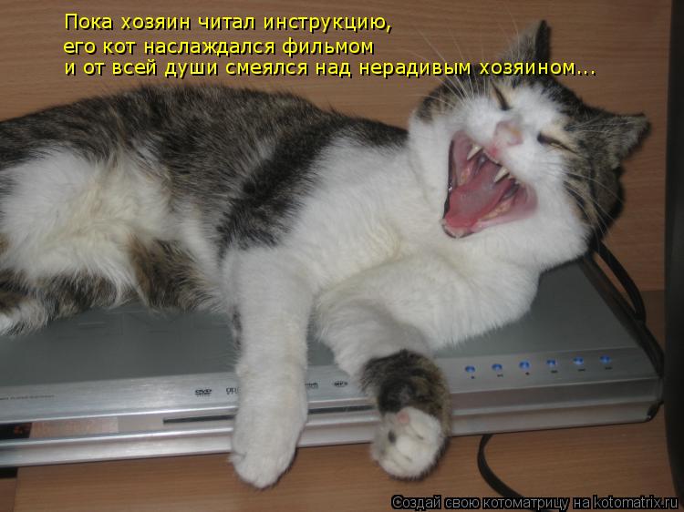 Котоматрица: Пока хозяин читал инструкцию, его кот наслаждался фильмом и от всей души смеялся над нерадивым хозяином...