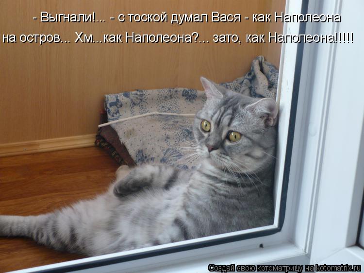 Котоматрица: - Выгнали!... - с тоской думал Вася - как Наполеона на остров... Хм...как Наполеона?... зато, как Наполеона!!!!!