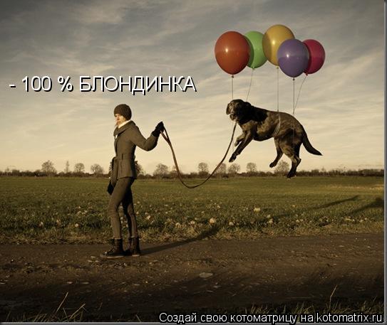 Котоматрица: - 100 % БЛОНДИНКА