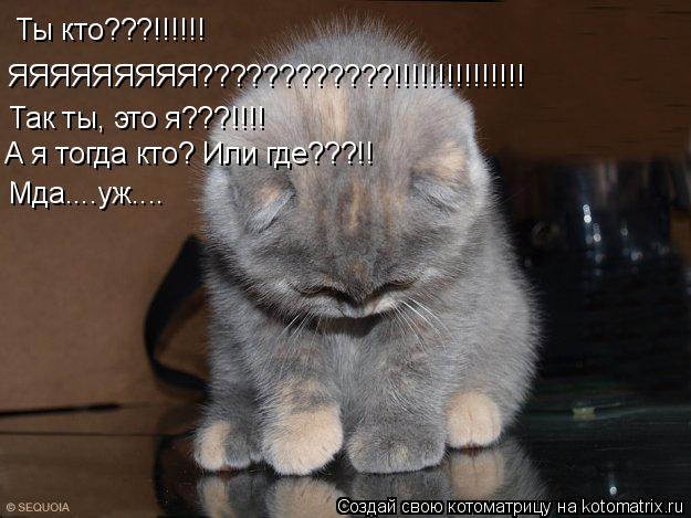 Ты кто???!!!!!! ЯЯЯЯЯЯЯЯЯ????????????!!!!!!!!!!!!!!! Так ты, это я???!!!! А я тогда кто? Или где???!!... Котоматрица: Ты кто???!!!!!! ЯЯЯЯЯЯЯЯЯ????????????!!!!!!!!!!!!!!! Так ты, это я???!!!! А я тогда кто? Или где???!! Мда....уж....
