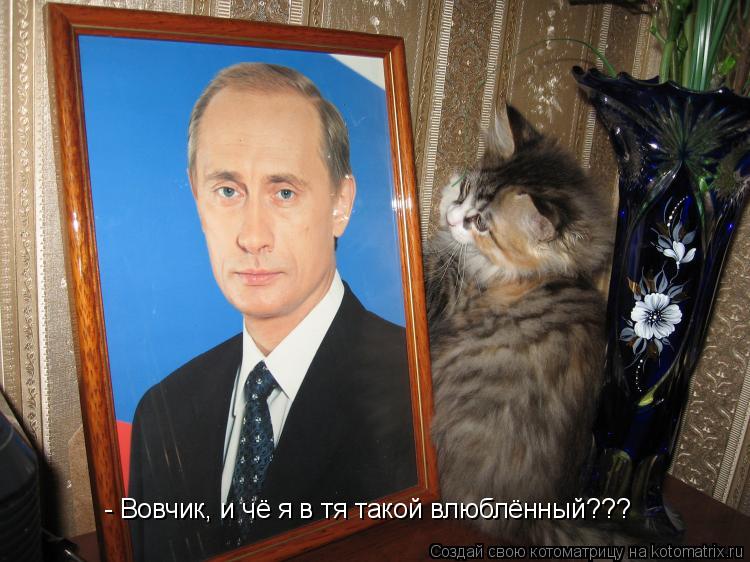 - Вовчик, и чё я в тя такой влюблённый???... Котоматрица: - Вовчик, и чё я в тя такой влюблённый???