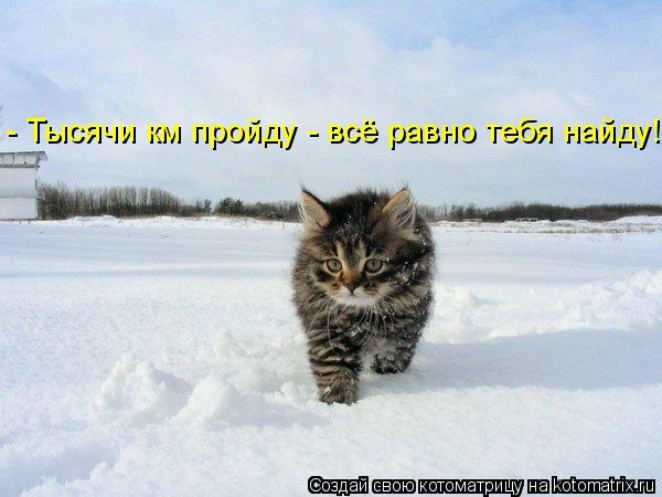 - Тысячи км пройду - всё равно тебя найду!... Котоматрица: - Тысячи км пройду - всё равно тебя найду!