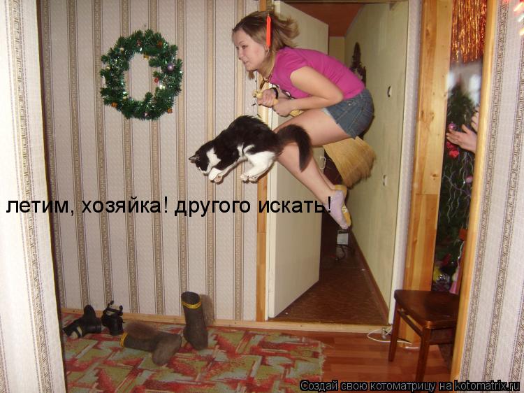 летим, хозяйка! другого искать!... Котоматрица: летим, хозяйка! другого искать!