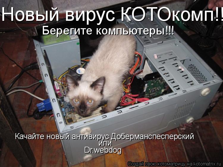Новый вирус КОТОкомп!!! Берегите компьютеры!!! Качайте новый антивирус Доберманспесперский или Dr.web... Котоматрица: Новый вирус КОТОкомп!!! Берегите компьютеры!!! Качайте новый антивирус Доберманспесперский или Dr.webdog