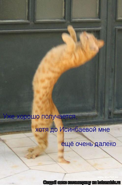 Уже хорошо получается хотя до Исинбаевой мне ещё очень далеко ,... Котоматрица: Уже хорошо получается хотя до Исинбаевой мне ещё очень далеко ,