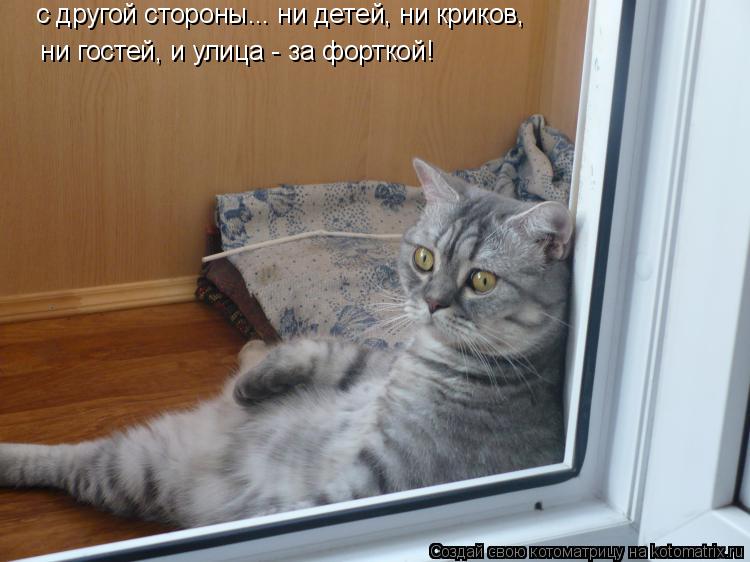 с другой стороны... ни детей, ни криков, ни гостей, и улица - за форткой!... Котоматрица: с другой стороны... ни детей, ни криков, ни гостей, и улица - за форткой!