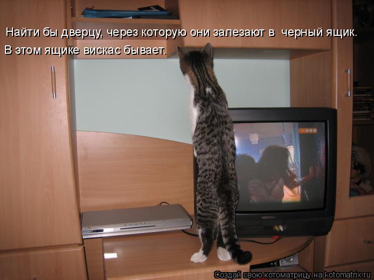 Найти бы дверцу, через которую они залезают в черный ящик. В этом ящике вискас бывает.... Котоматрица: Найти бы дверцу, через которую они залезают в черный ящик. В этом ящике вискас бывает.