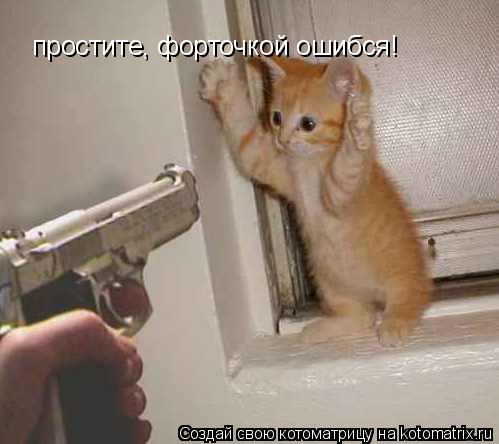 простите, форточкой ошибся!... Котоматрица: простите, форточкой ошибся!